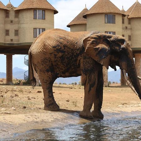 Salt Lick Safari Lodge Tsavo Exterior foto