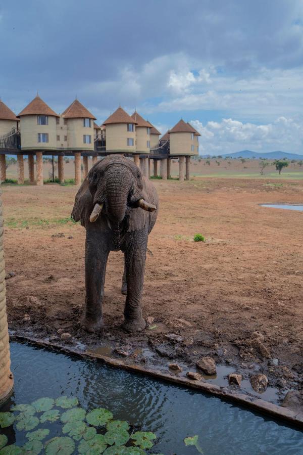 Salt Lick Safari Lodge Tsavo Exterior foto