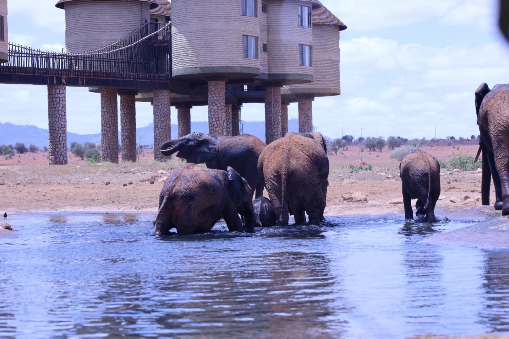 Salt Lick Safari Lodge Tsavo Exterior foto