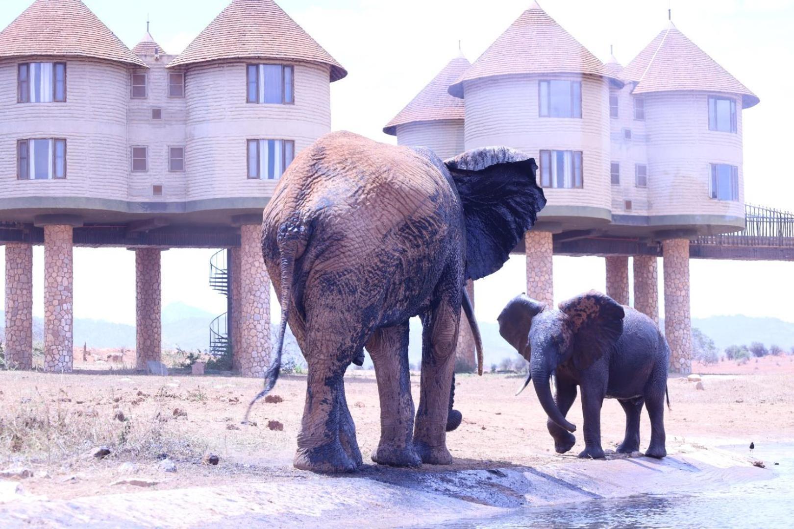 Salt Lick Safari Lodge Tsavo Exterior foto