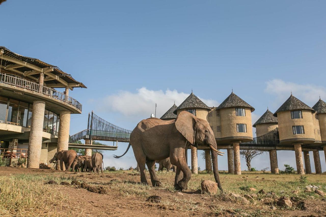 Salt Lick Safari Lodge Tsavo Exterior foto