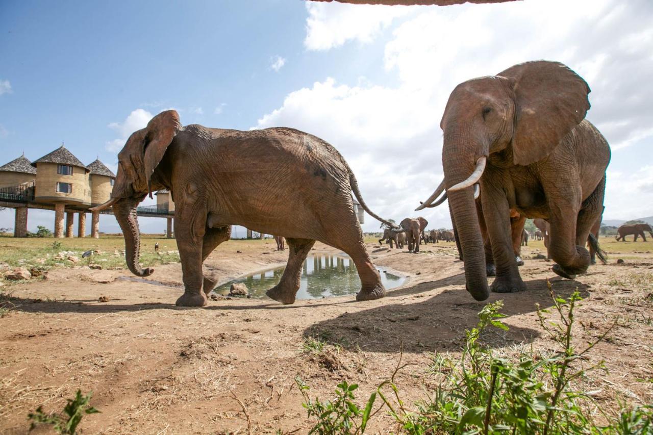 Salt Lick Safari Lodge Tsavo Exterior foto