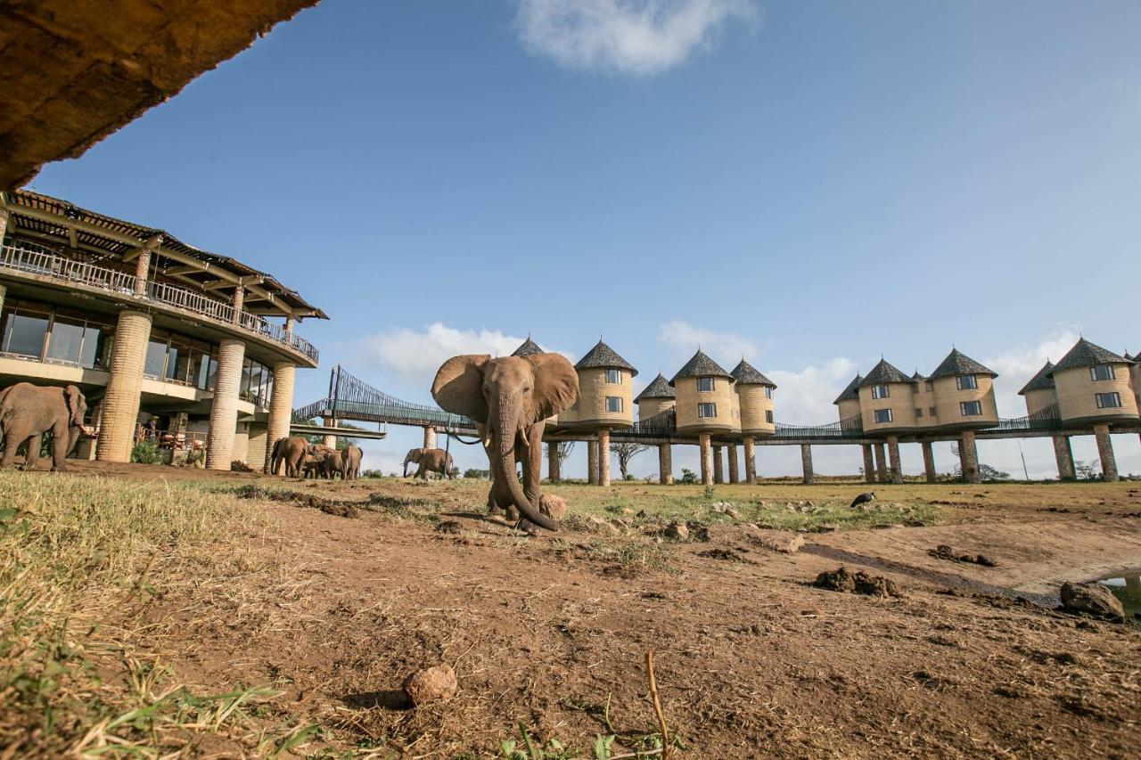 Salt Lick Safari Lodge Tsavo Exterior foto