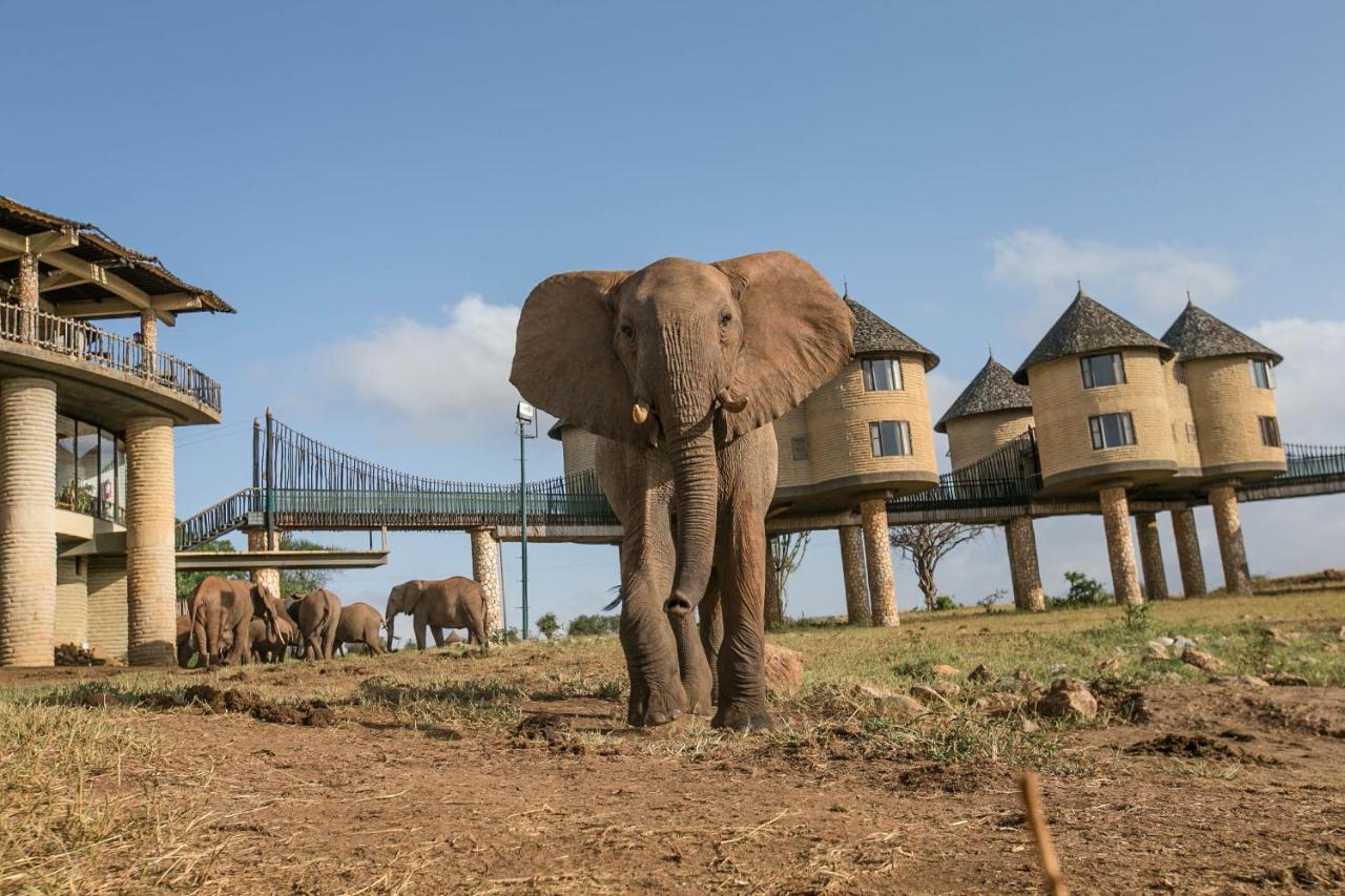 Salt Lick Safari Lodge Tsavo Exterior foto